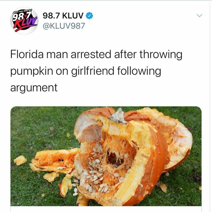 Wait, Florida Men? The Most Outrageous News You Won't Believe Happened!