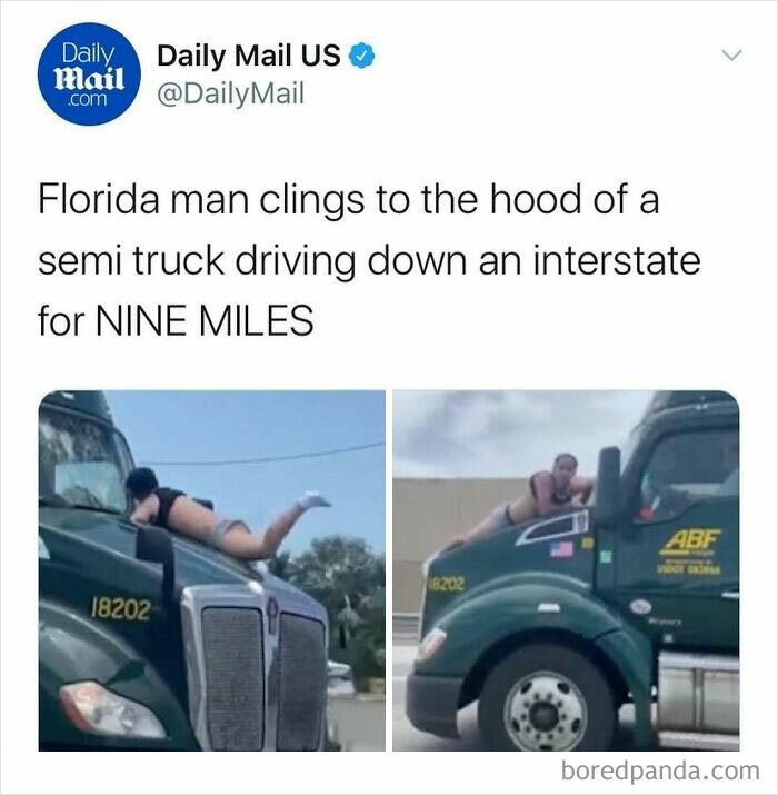 Wait, Florida Men? The Most Outrageous News You Won't Believe Happened!