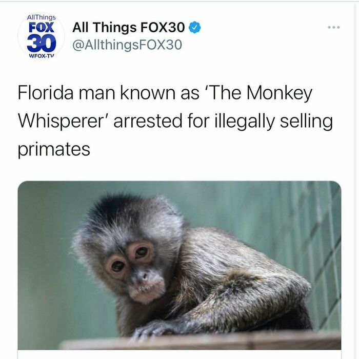 Wait, Florida Men? The Most Outrageous News You Won't Believe Happened!