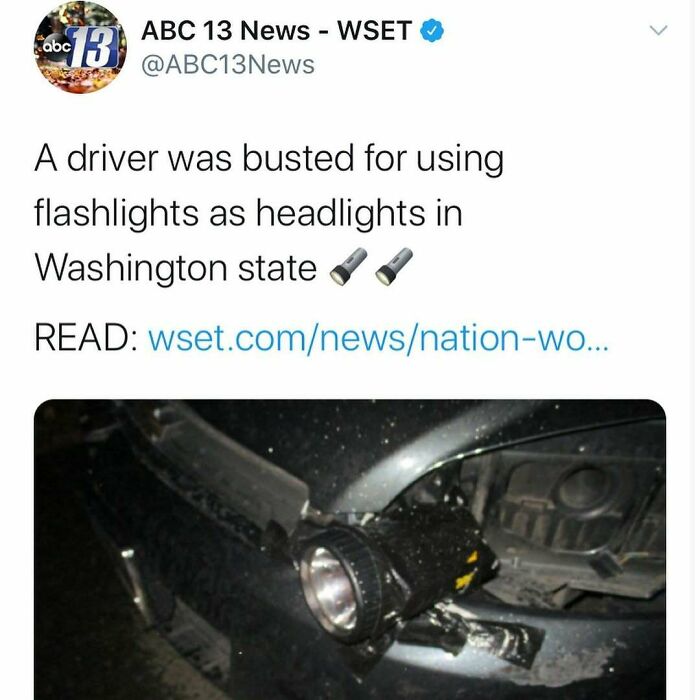 Wait, Florida Men? The Most Outrageous News You Won't Believe Happened!