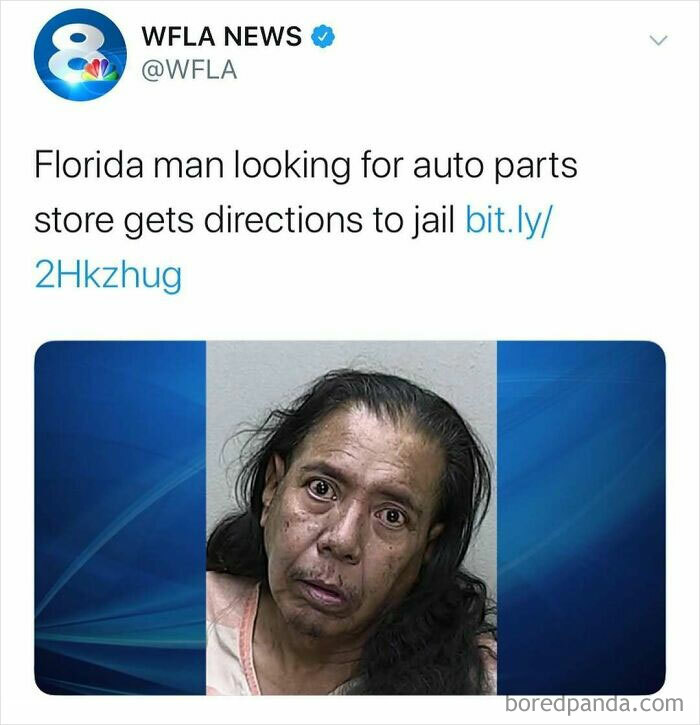 Wait, Florida Men? The Most Outrageous News You Won't Believe Happened!