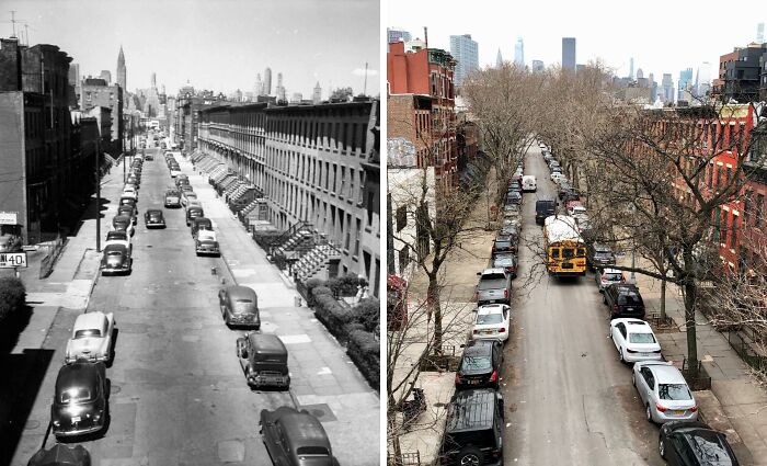 New York Glow-Up: Then vs. Now Pics That Will Make You Say WOW