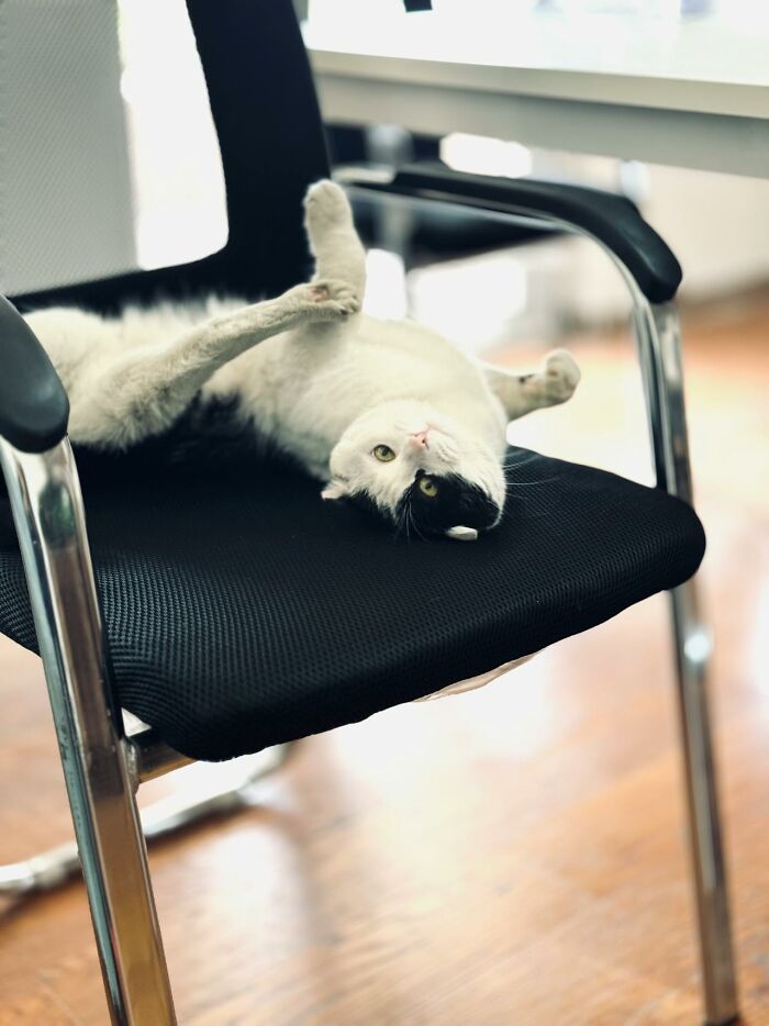 Wait Till You Hear These Wild Office Party Stories!