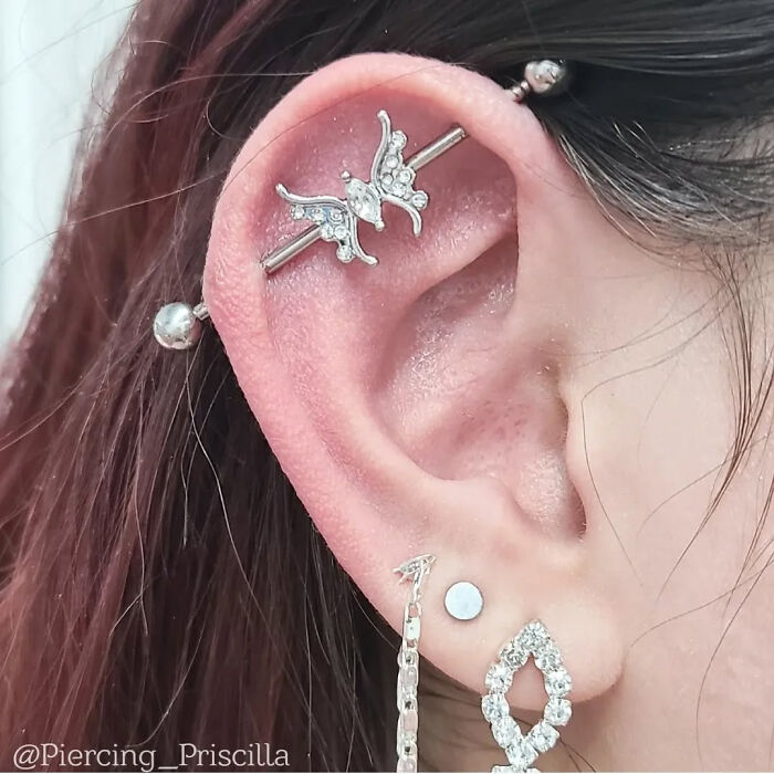 Industrial Piercing (The Double Trouble Bar)