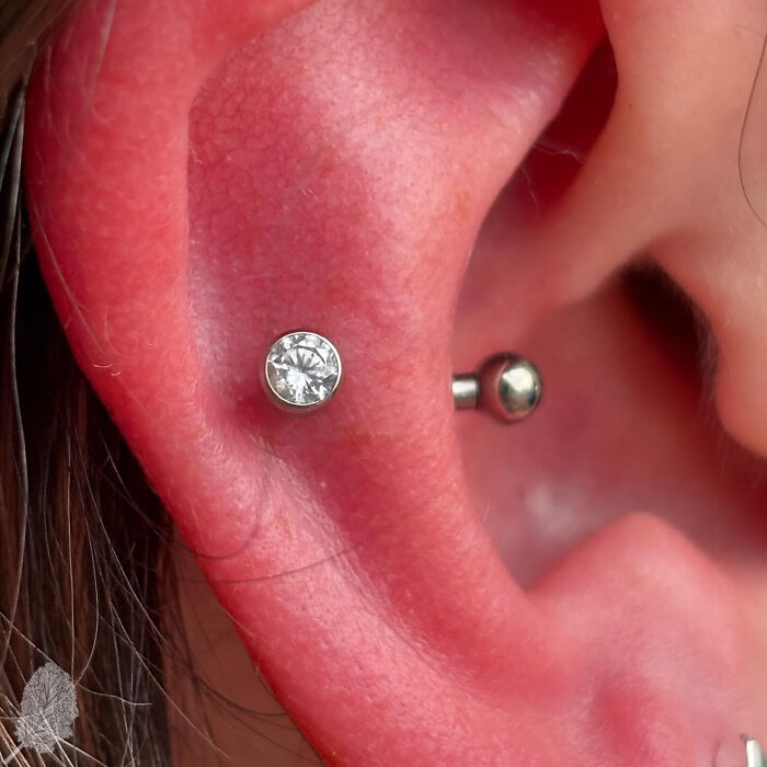 Snug Piercing (The Cozy Cartilage Bar)