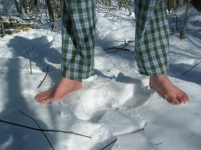 Wait, They Actually Ranked Stuff That Can Kill You?!