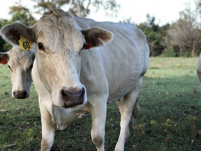 Wait, They Actually Ranked Stuff That Can Kill You?!