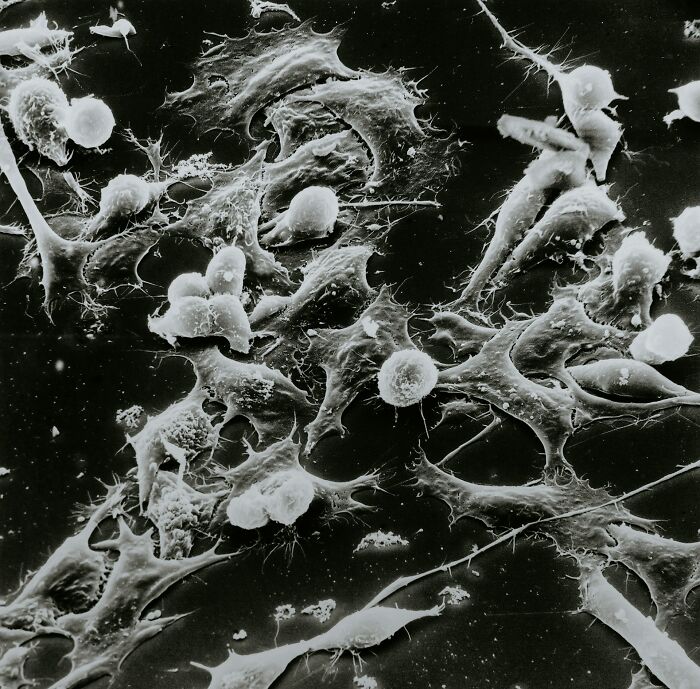 Wait, They Actually Ranked Stuff That Can Kill You?!