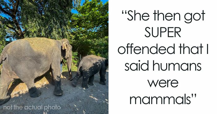 Wait, They Really Said That?! 80 Hilarious ‘Oh No, This Person’s an Idiot’ Moments