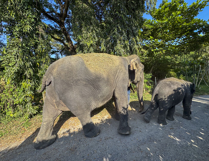 Wait, They Really Said That?! 80 Hilarious 'Oh No, This Person's an Idiot' Moments