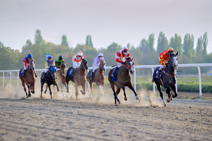 Wait, They Really Said That?! 80 Hilarious 'Oh No, This Person's an Idiot' Moments