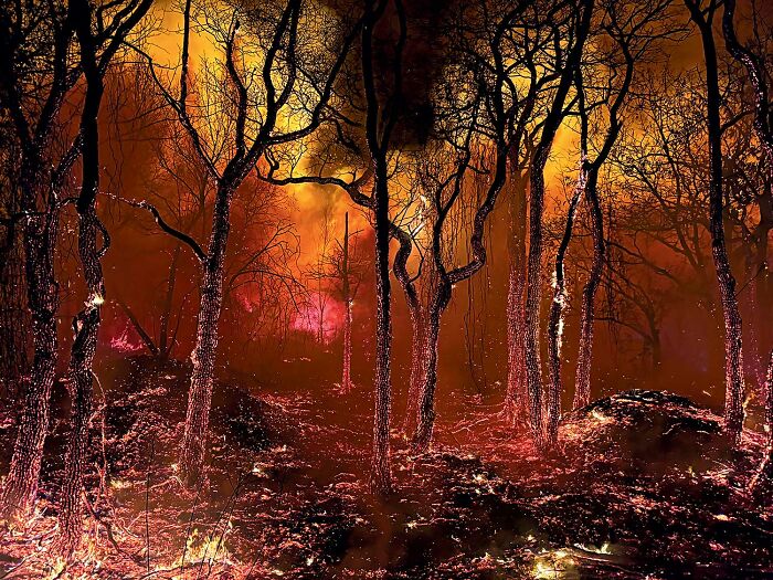 Fire’s Wild Afterparty (By Jason Mirandi)