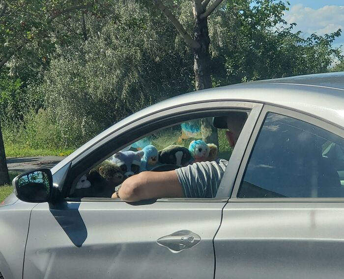 Nice View! But Why Are You Parked Here?