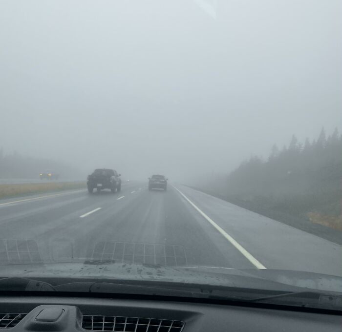 Driving in Thick Fog Without Lights? Genius Move