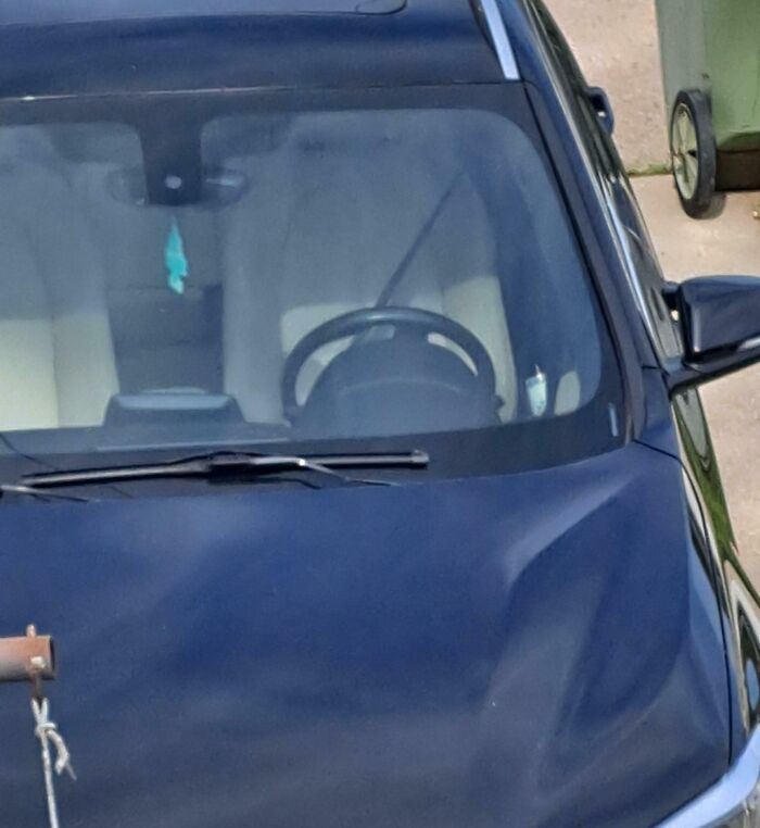 Neighbors Buckling Seatbelts and Sitting on Top of Them. Why, Though?