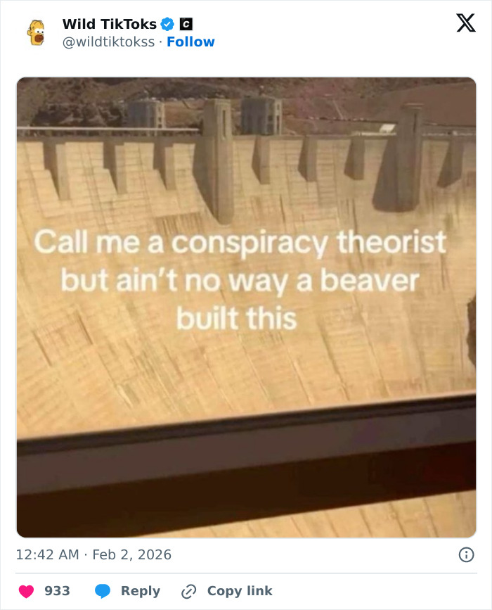 Wait Till You See These Totally Bizarre TikTok Screenshots!