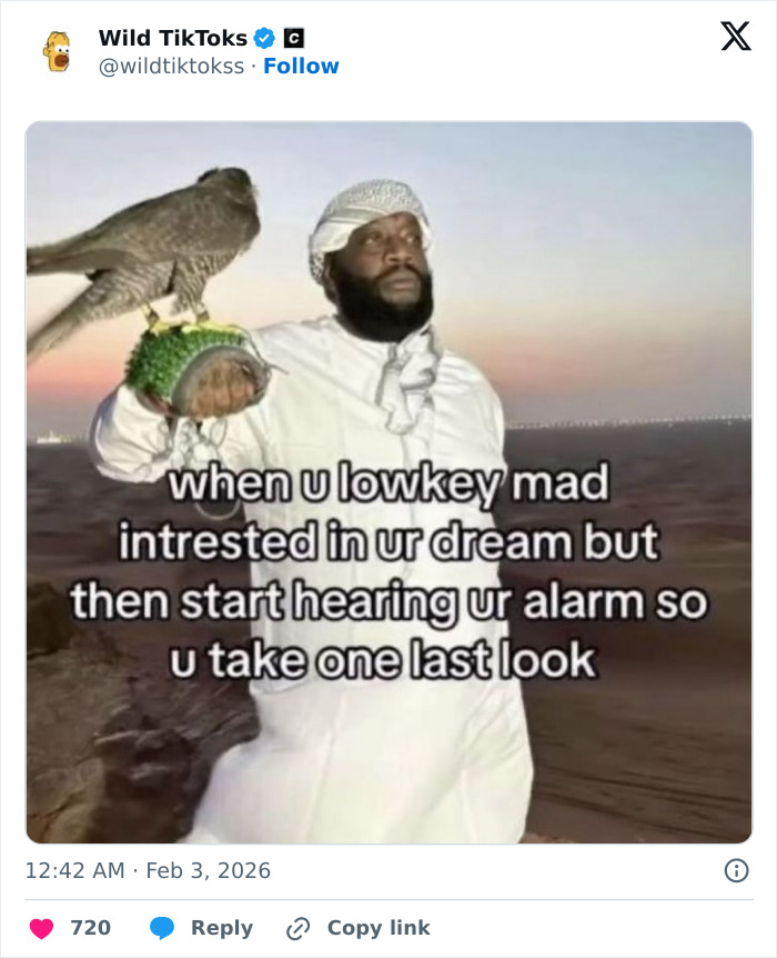 Wait Till You See These Totally Bizarre TikTok Screenshots!