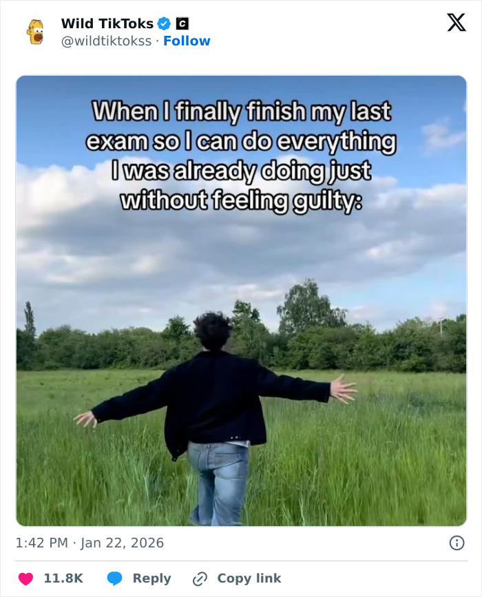 Wait Till You See These Totally Bizarre TikTok Screenshots!