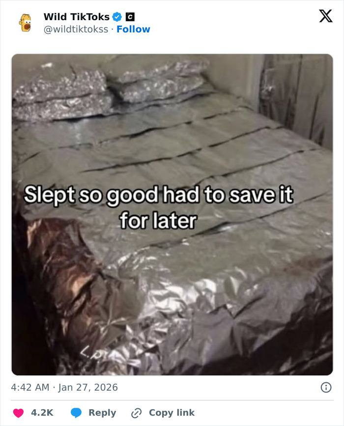 Wait Till You See These Totally Bizarre TikTok Screenshots!