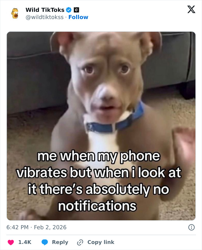 Wait Till You See These Totally Bizarre TikTok Screenshots!