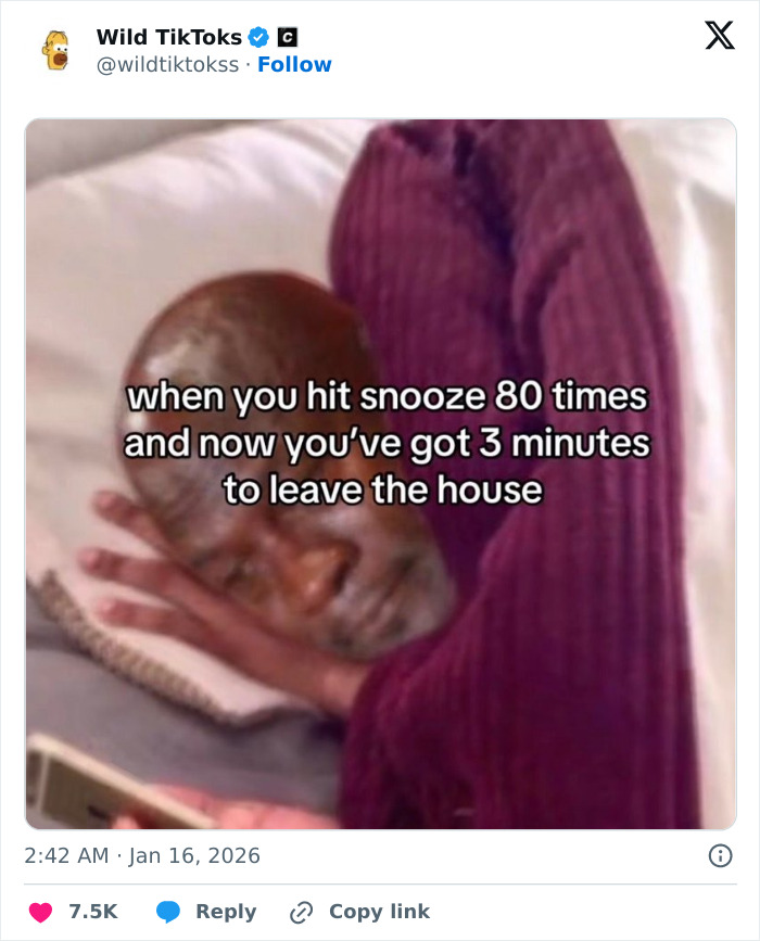 Wait Till You See These Totally Bizarre TikTok Screenshots!