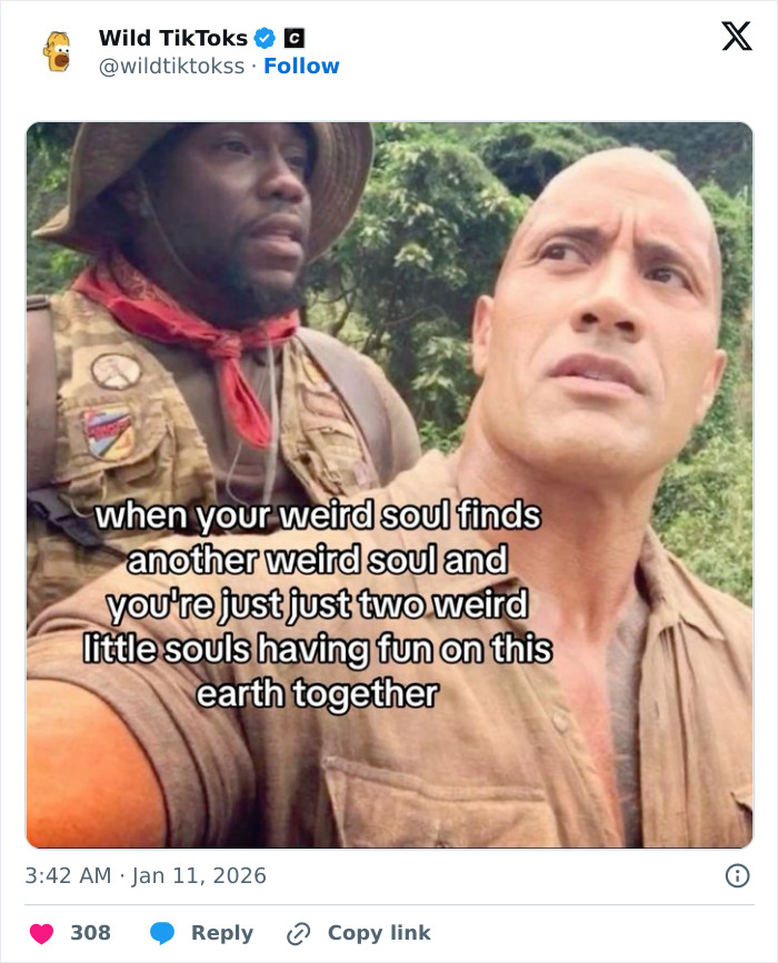 Wait Till You See These Totally Bizarre TikTok Screenshots!