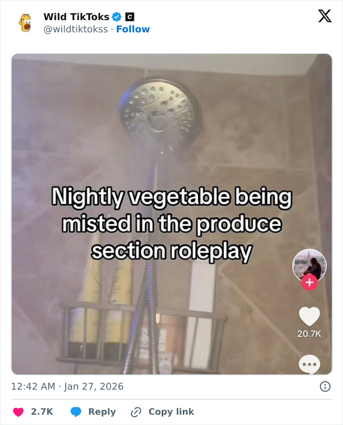 Wait Till You See These Totally Bizarre TikTok Screenshots!