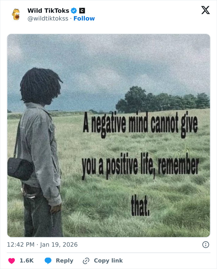 Wait Till You See These Totally Bizarre TikTok Screenshots!