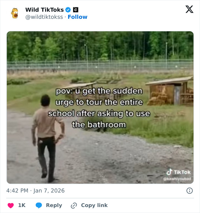 Wait Till You See These Totally Bizarre TikTok Screenshots!