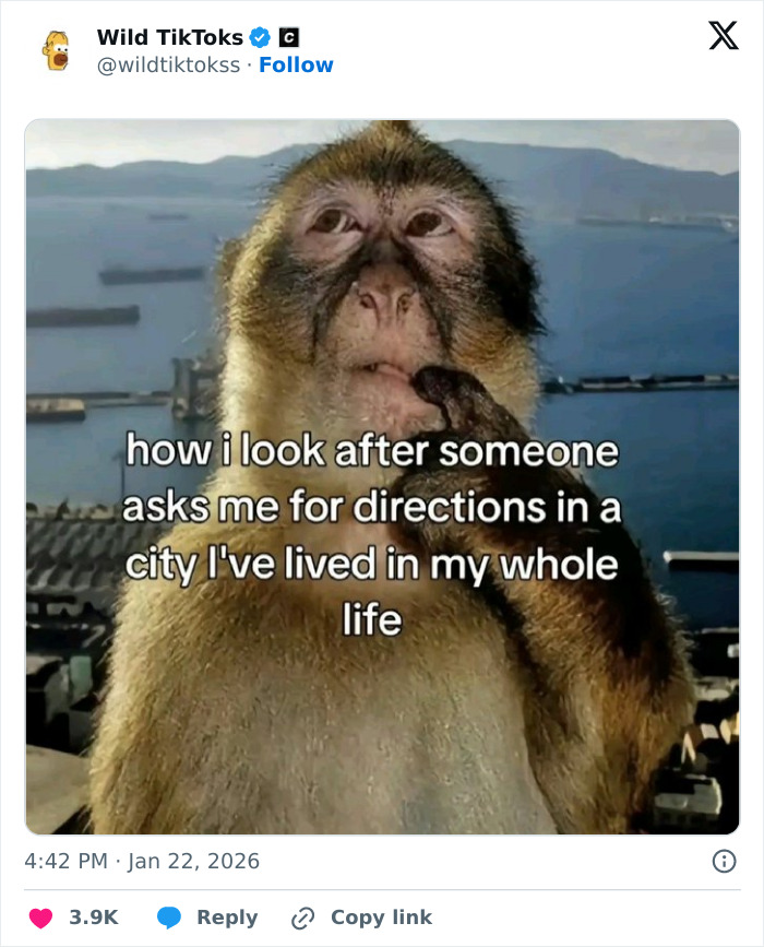 Wait Till You See These Totally Bizarre TikTok Screenshots!