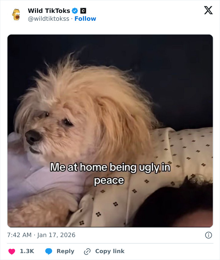 Wait Till You See These Totally Bizarre TikTok Screenshots!