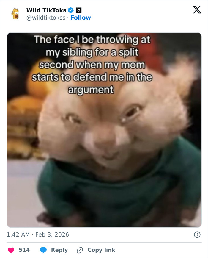 Wait Till You See These Totally Bizarre TikTok Screenshots!