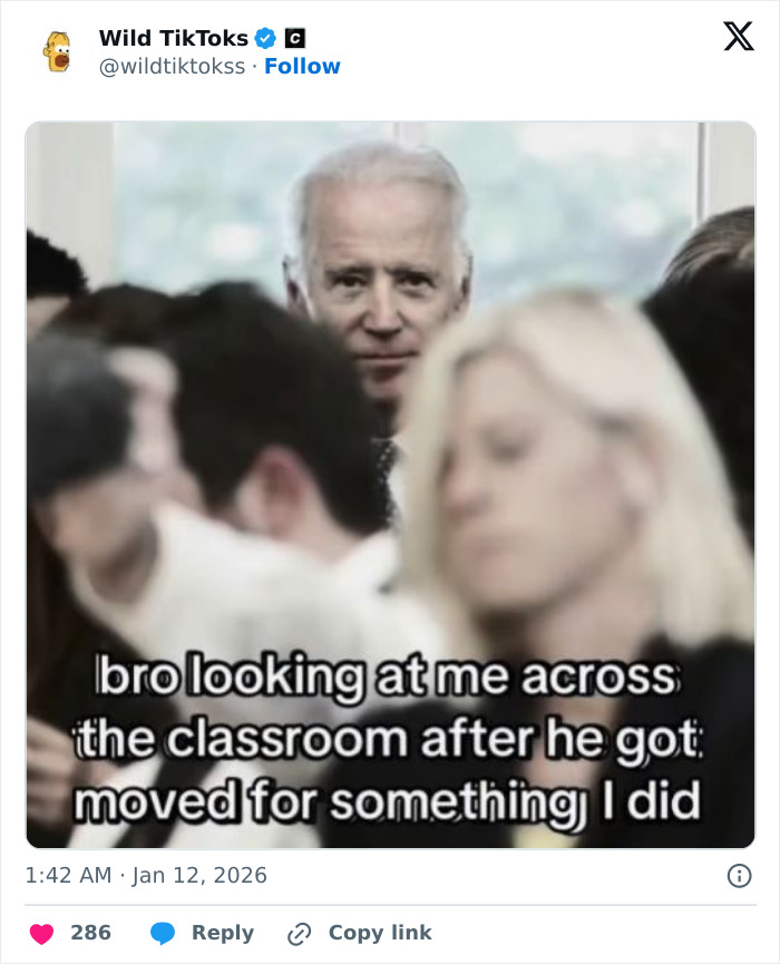 Wait Till You See These Totally Bizarre TikTok Screenshots!