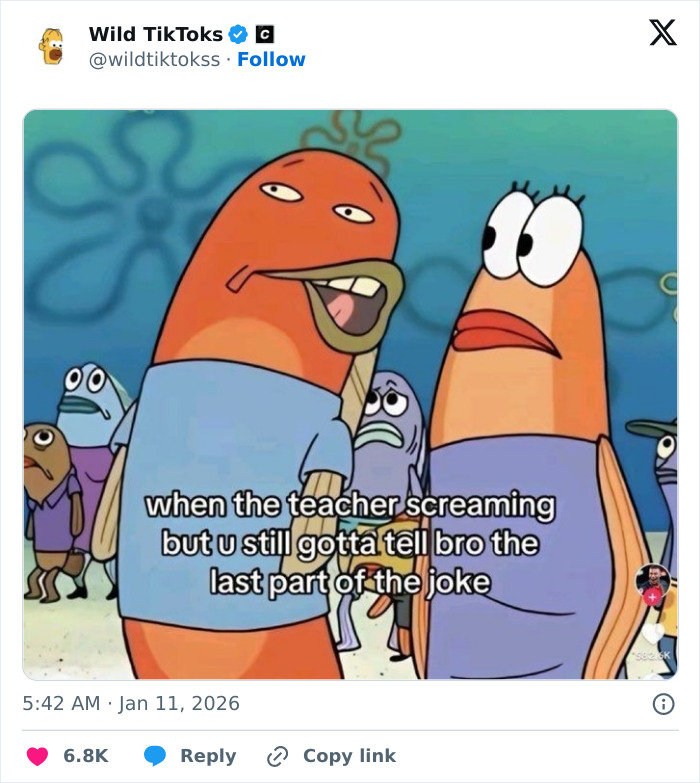 Wait Till You See These Totally Bizarre TikTok Screenshots!