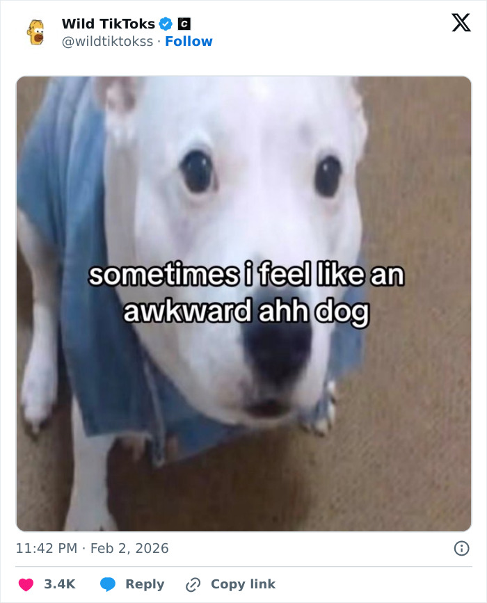 Wait Till You See These Totally Bizarre TikTok Screenshots!