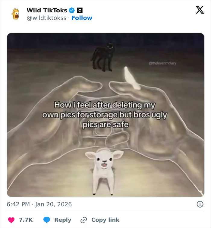 Wait Till You See These Totally Bizarre TikTok Screenshots!