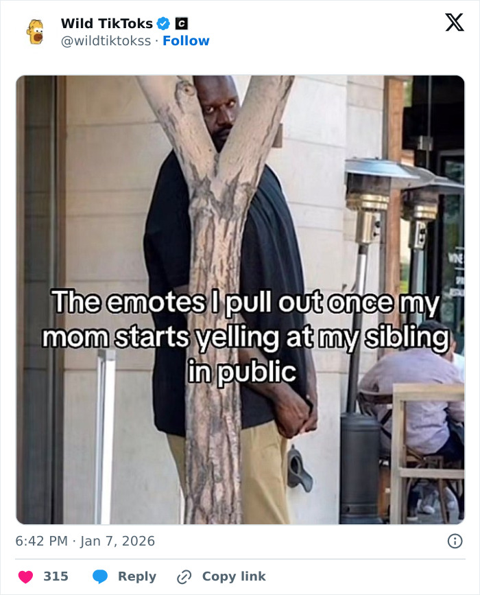 Wait Till You See These Totally Bizarre TikTok Screenshots!