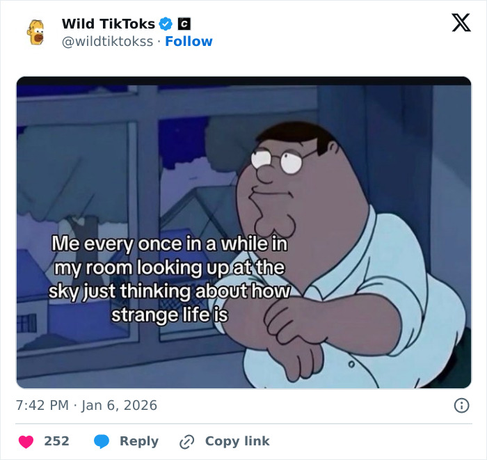 Wait Till You See These Totally Bizarre TikTok Screenshots!