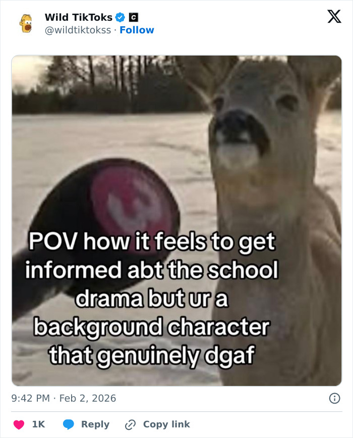 Wait Till You See These Totally Bizarre TikTok Screenshots!