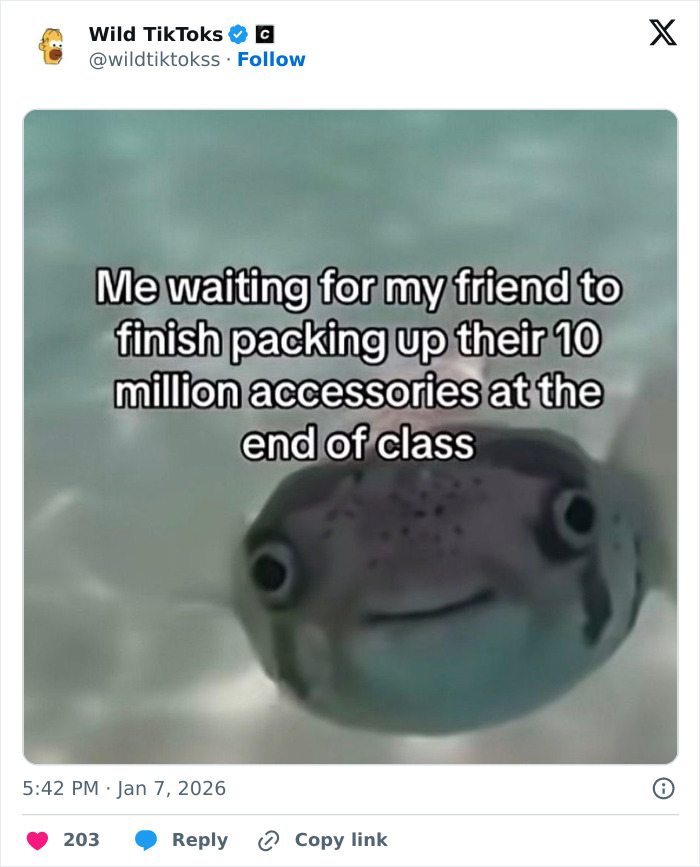 Wait Till You See These Totally Bizarre TikTok Screenshots!