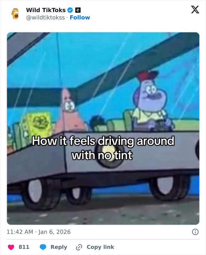 Wait Till You See These Totally Bizarre TikTok Screenshots!