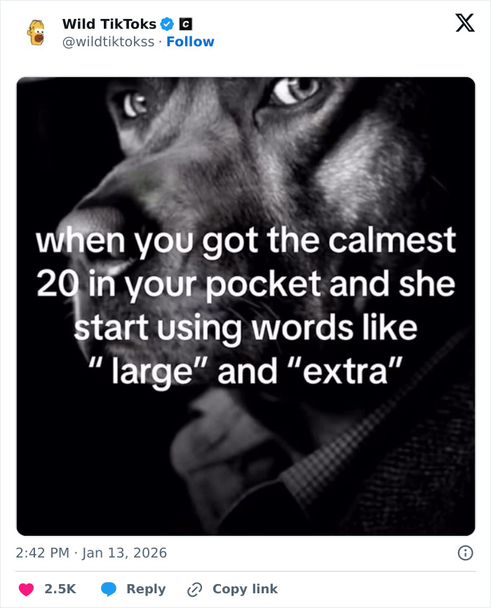 Wait Till You See These Totally Bizarre TikTok Screenshots!