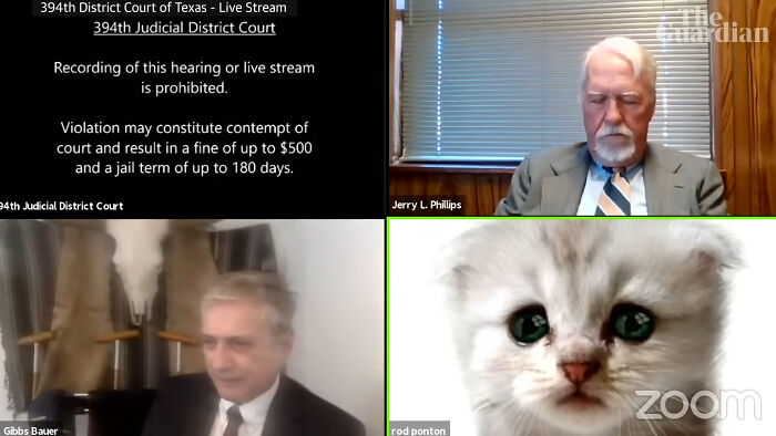 “I’m Not A Cat!” Lawyer Zoom Fails Hilariously with Kitten Filter