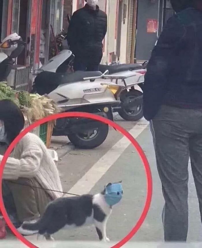 Safety First! (Or... Something Like It)