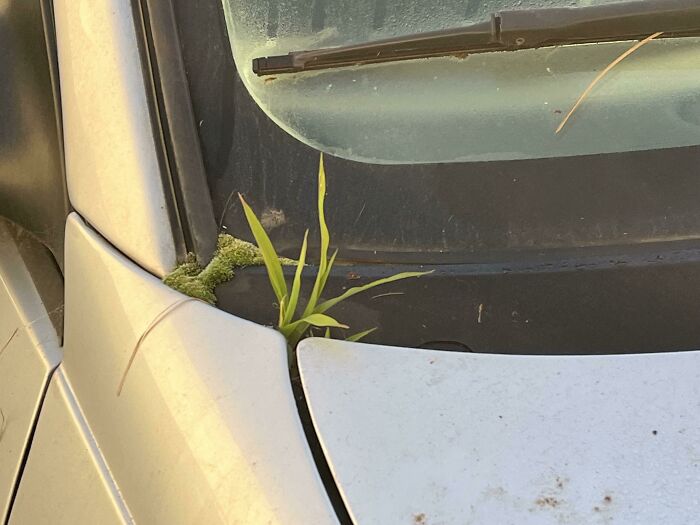 Neighbors Went on a Driving Hiatus Thanks to Covid