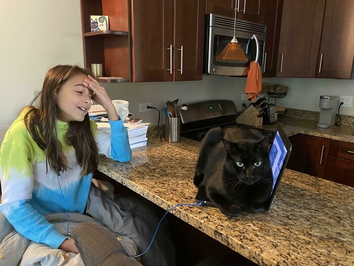 The Frustration of 2020 Captured Perfectly