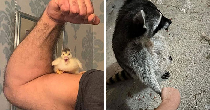 Wait Till You See These Wildly Sweet Human-Animal BFF Moments