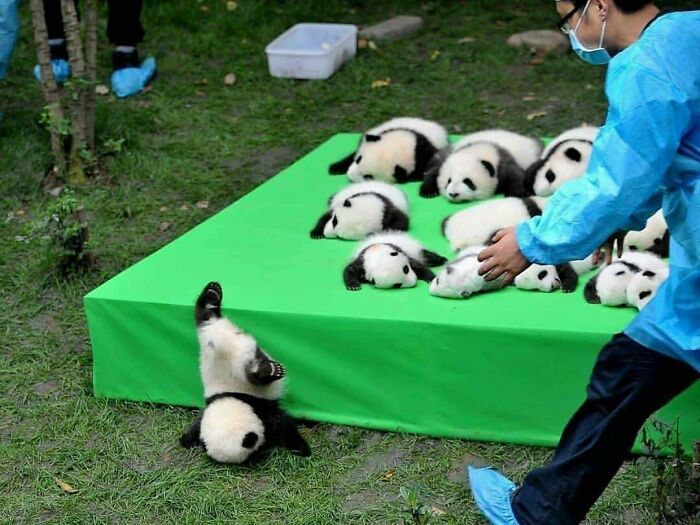 Wait Till You See These Wildly Sweet Human-Animal BFF Moments