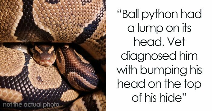 Let’s Rank The Most Ridiculous Vet Visits Ever (Yep, They Cost Actual Money)