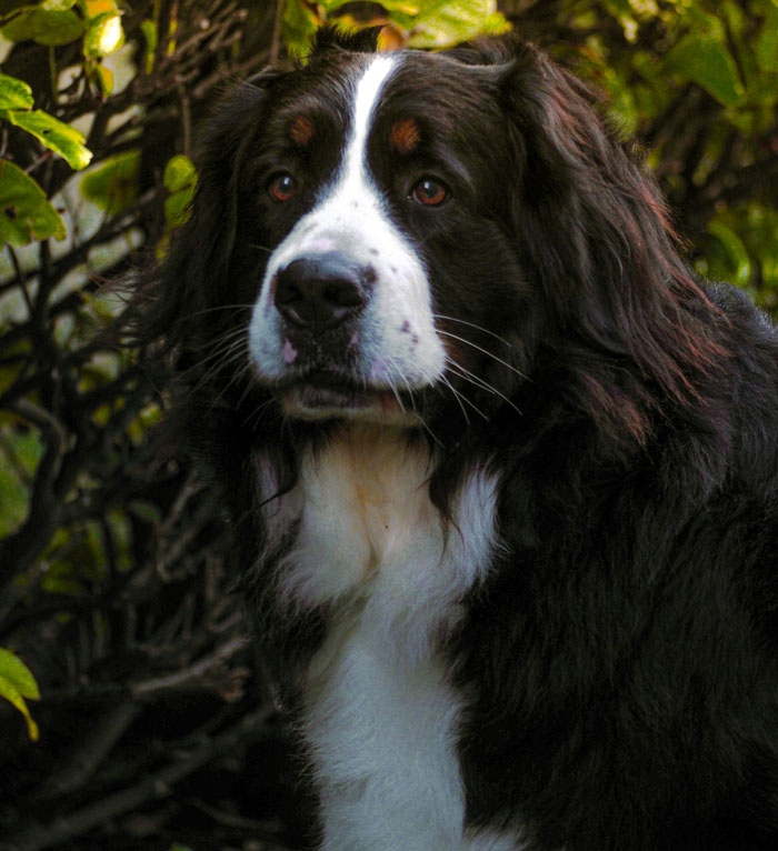 Let's Rank The Most Ridiculous Vet Visits Ever (Yep, They Cost Actual Money)